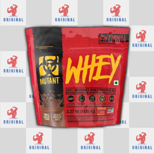 Background website _20260303_134234_0007