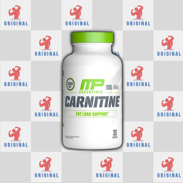 Background website _20260226_132417_0002