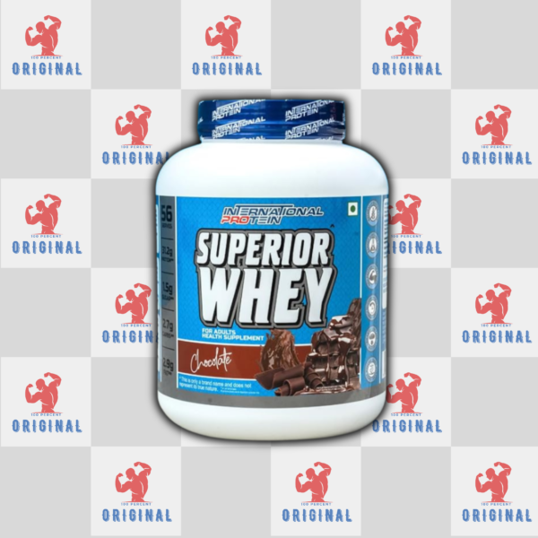 Background website _20260218_161155_0001